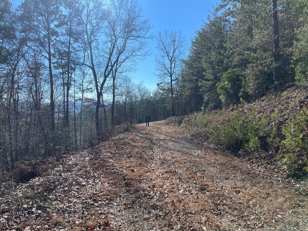 000 Mistletoe Ridge