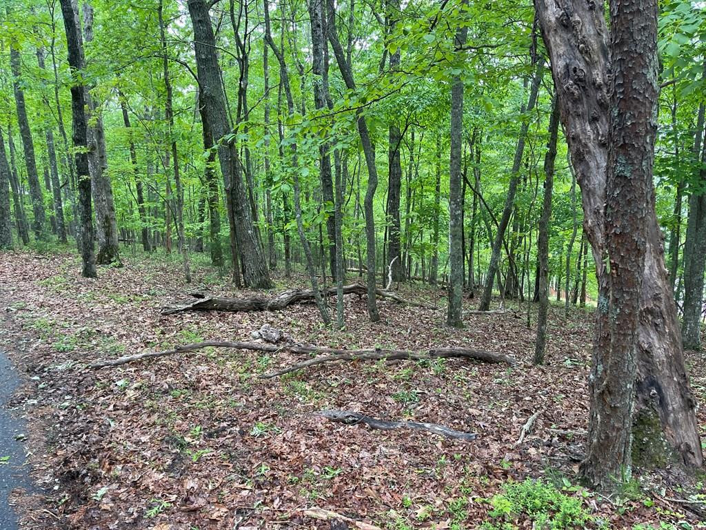 00 High Ridge Road