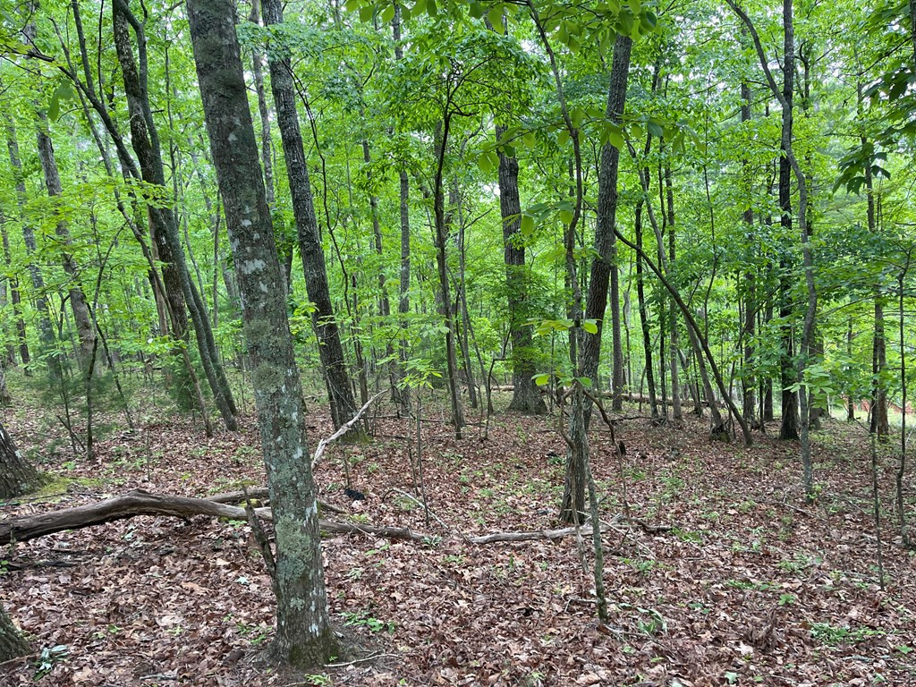 00 High Ridge Road