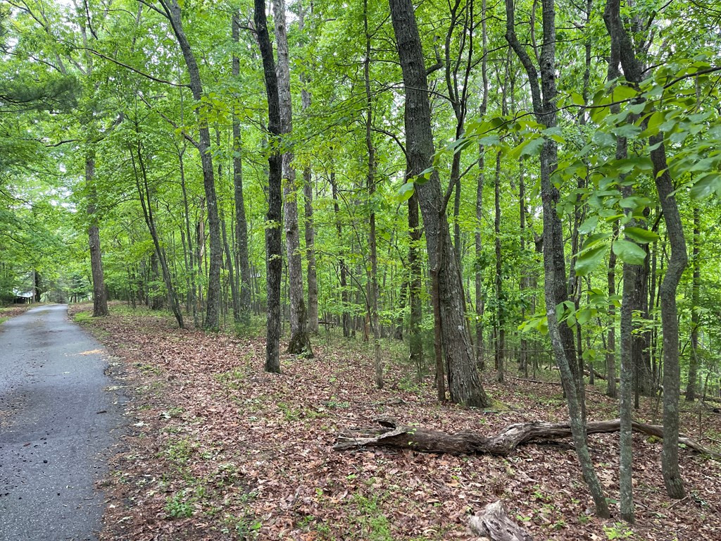 00 High Ridge Road