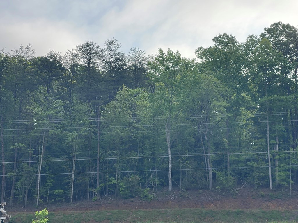 0 Highway 64 West