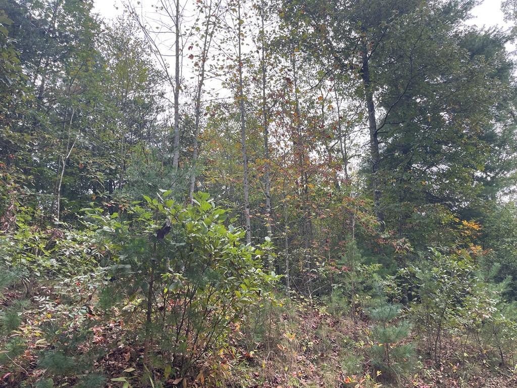 0000 Camp Creek Road
