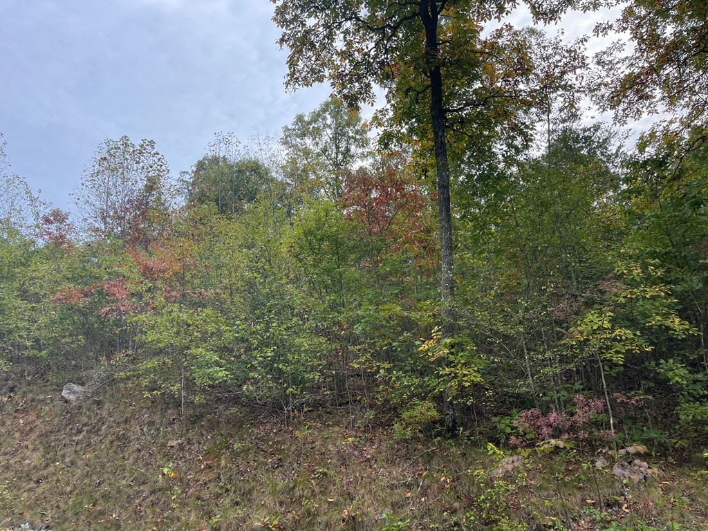0000 Camp Creek Road