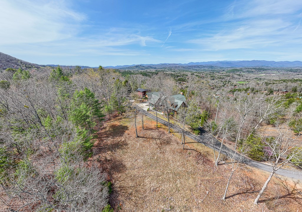 594 Brasstown View Road
