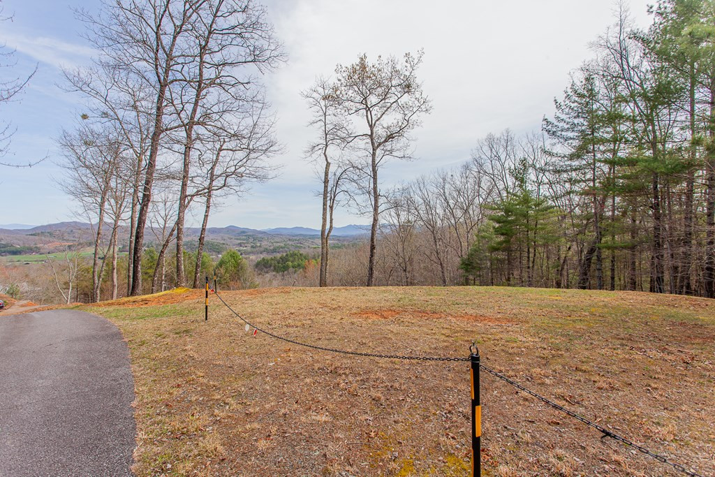 594 Brasstown View Road