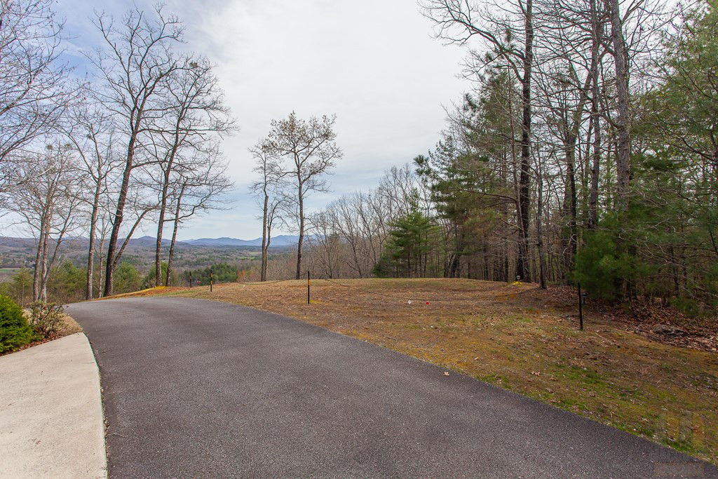 594 Brasstown View Road