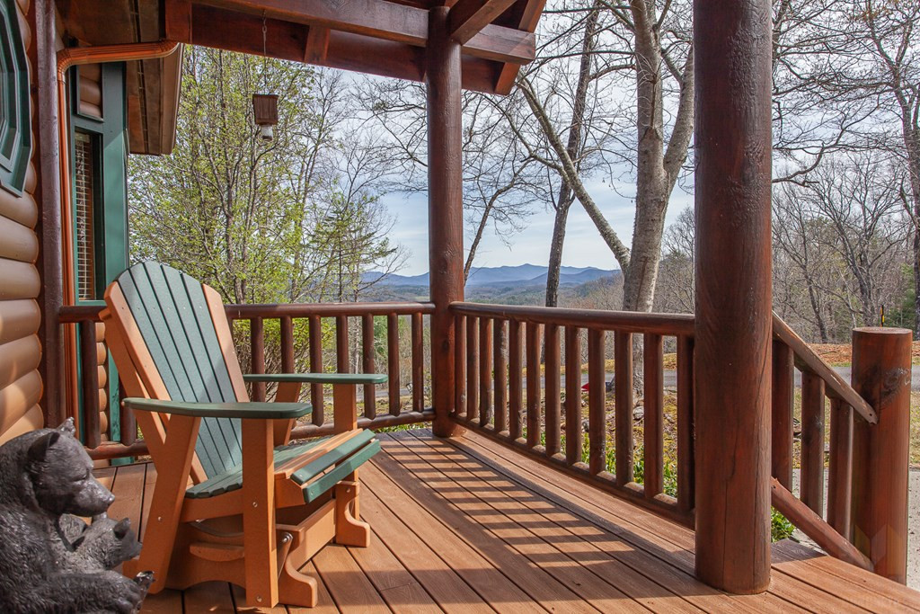 594 Brasstown View Road
