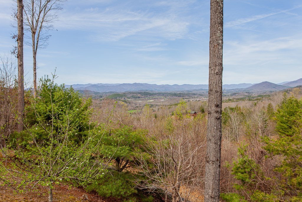 594 Brasstown View Road