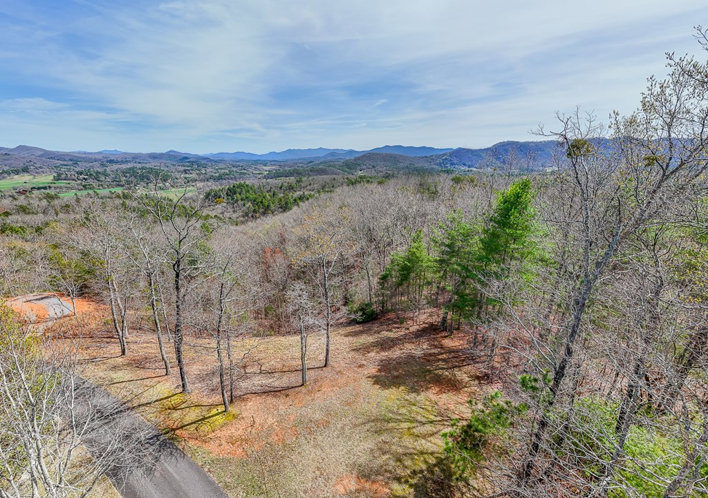 594 Brasstown View Road