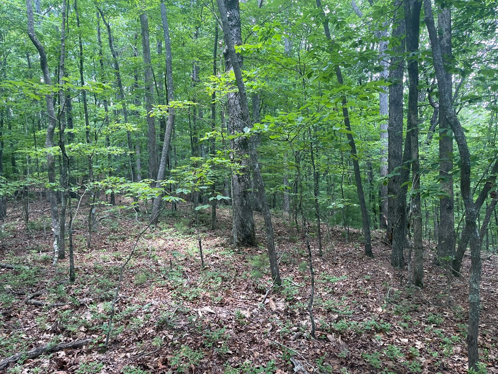 0000 Berry Hill Road