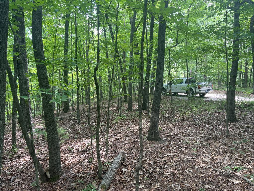 0000 Berry Hill Road