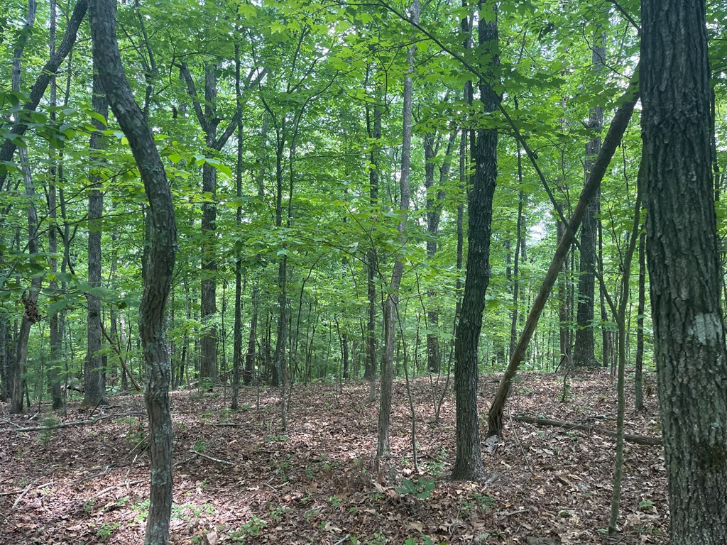 0000 Berry Hill Road