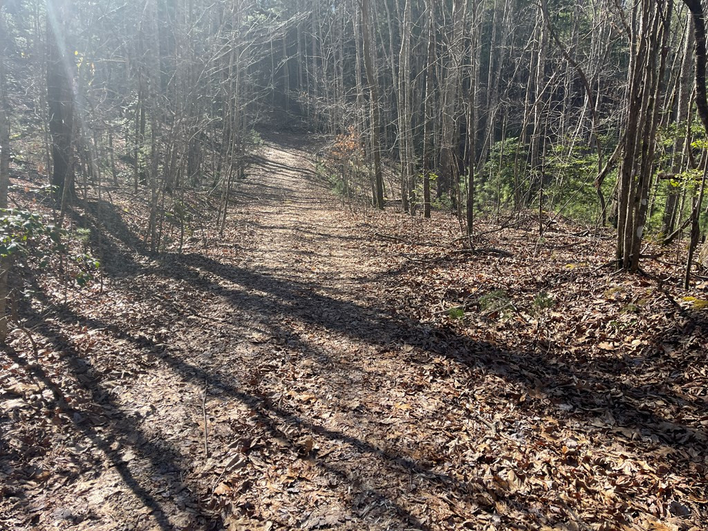 0 Maple Ridge Lane