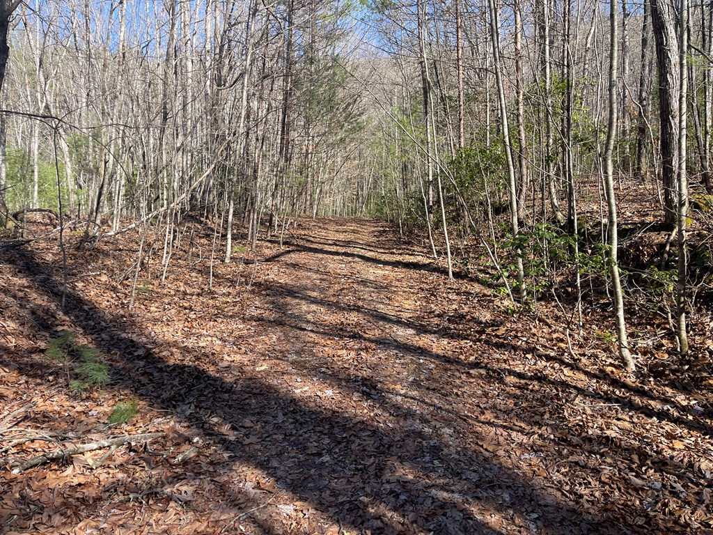 0 Maple Ridge Lane