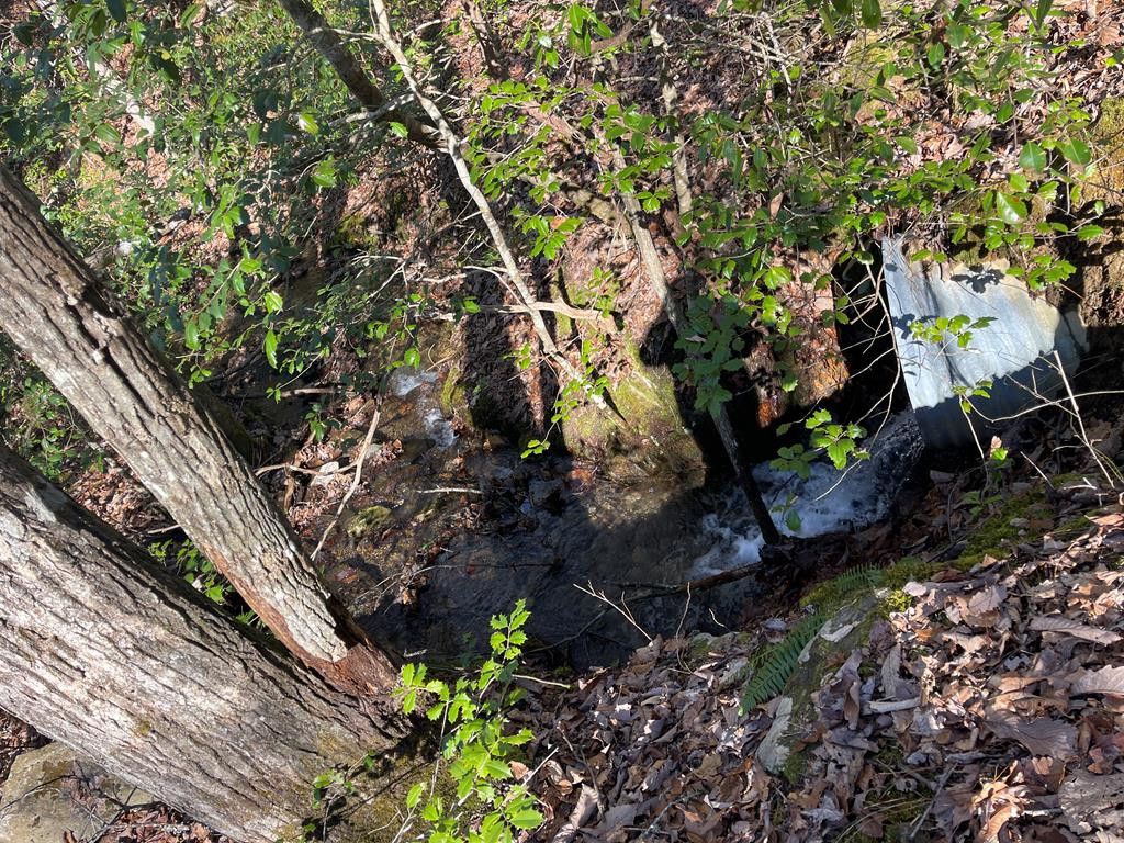 0 Maple Ridge Lane