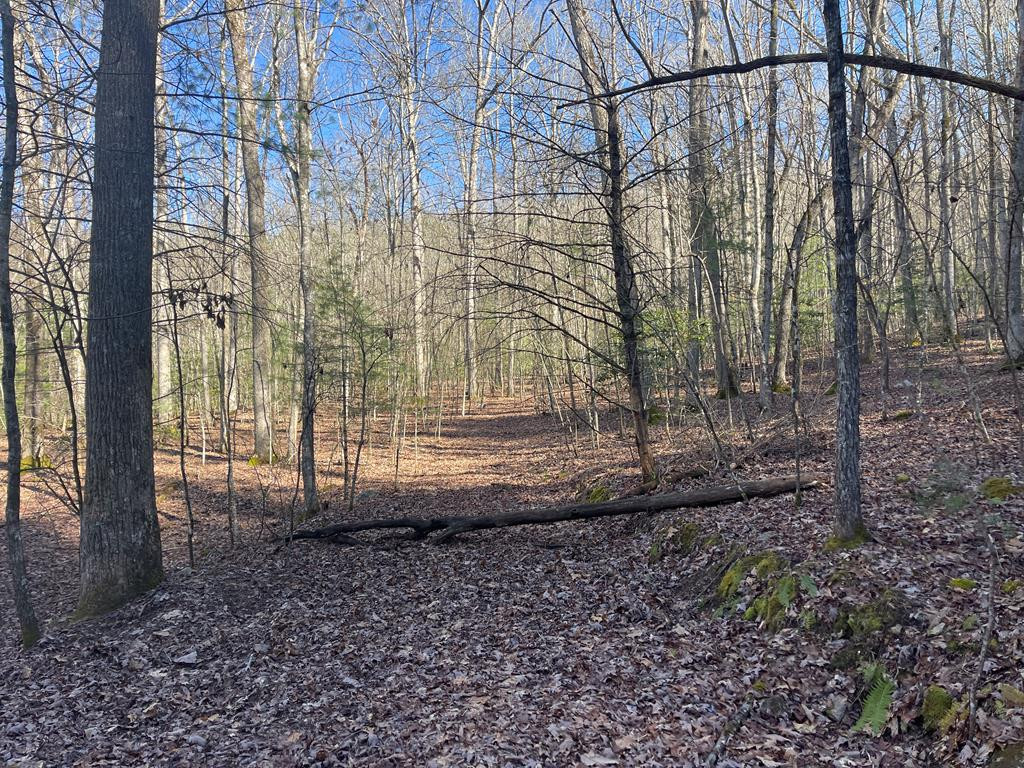 0 Maple Ridge Lane