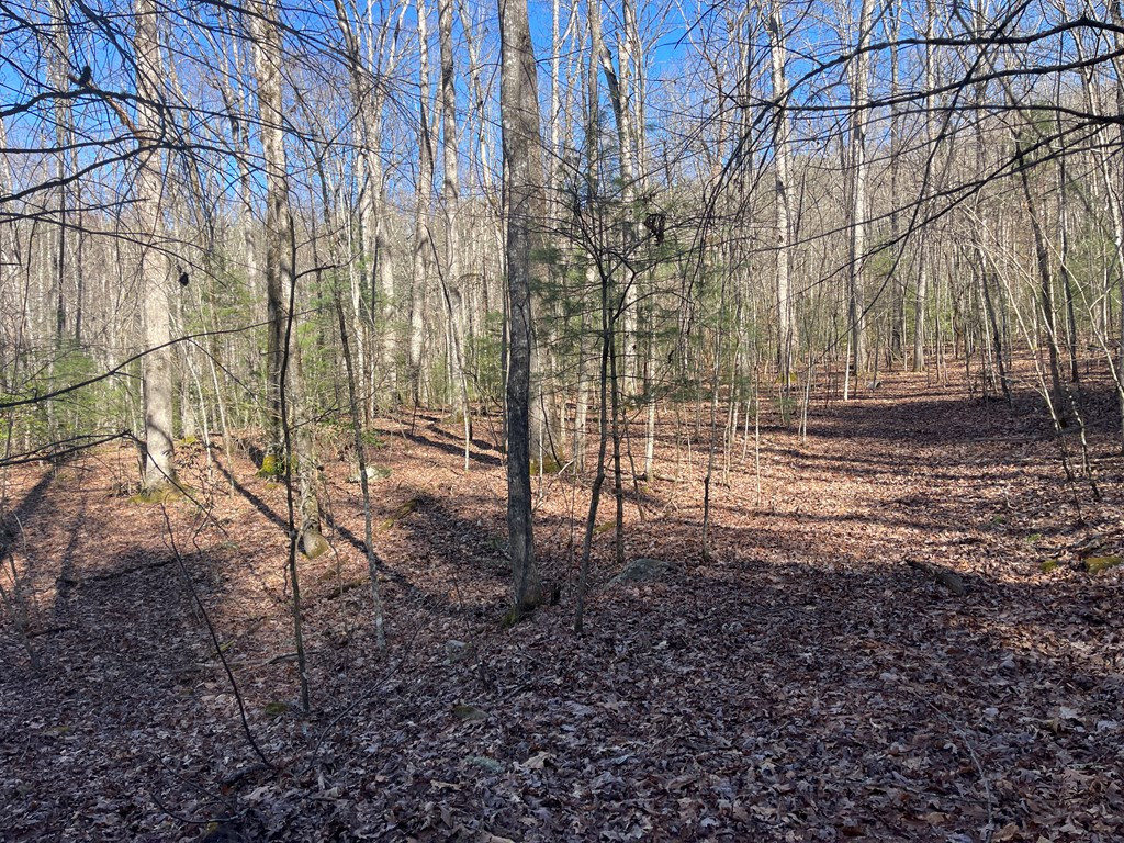 0 Maple Ridge Lane