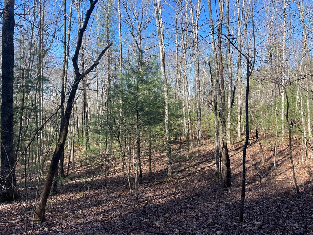 0 Maple Ridge Lane