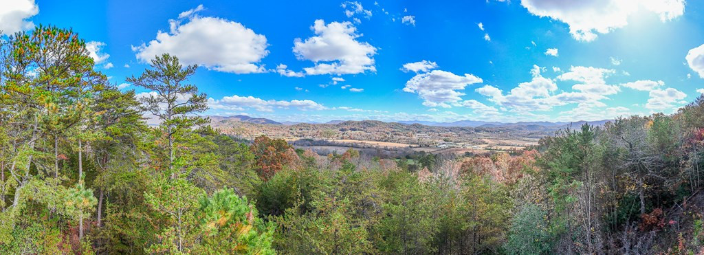 000 Mistletoe Ridge