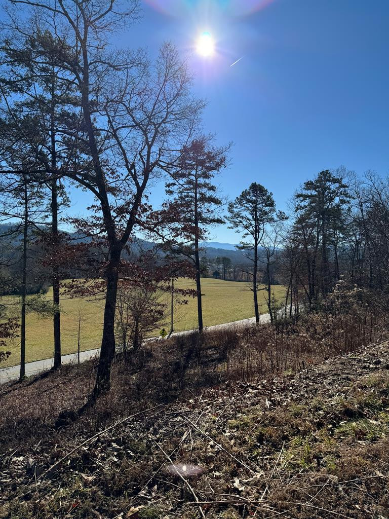 000 Mistletoe Ridge