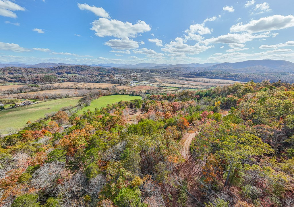 000 Mistletoe Ridge