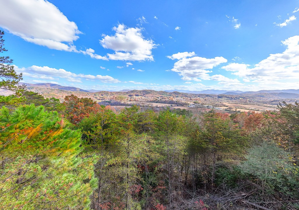 000 Mistletoe Ridge