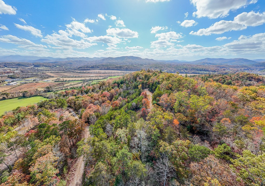 000 Mistletoe Ridge