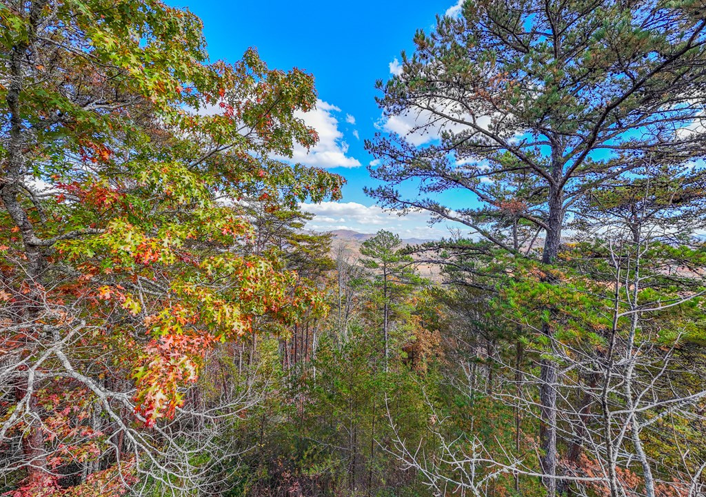 000 Mistletoe Ridge