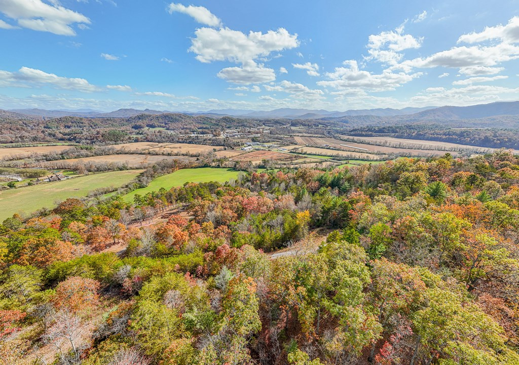 000 Mistletoe Ridge