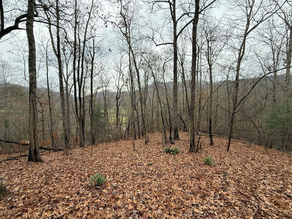 0 Flaming Ridge