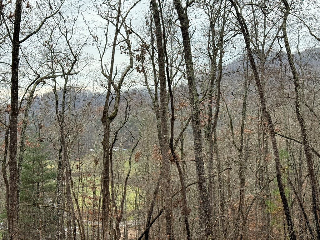0 Flaming Ridge