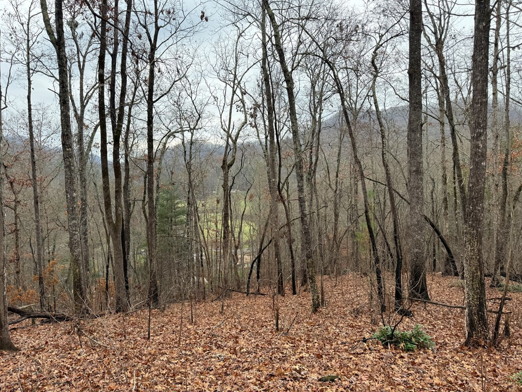 0 Flaming Ridge
