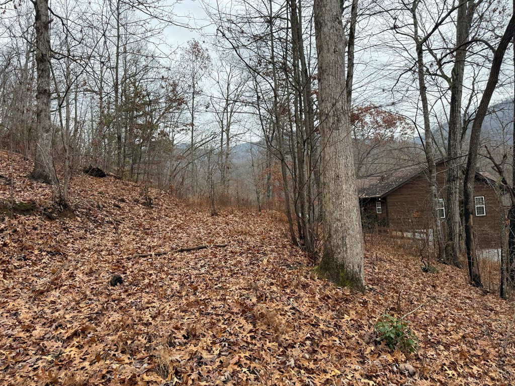 0 Flaming Ridge