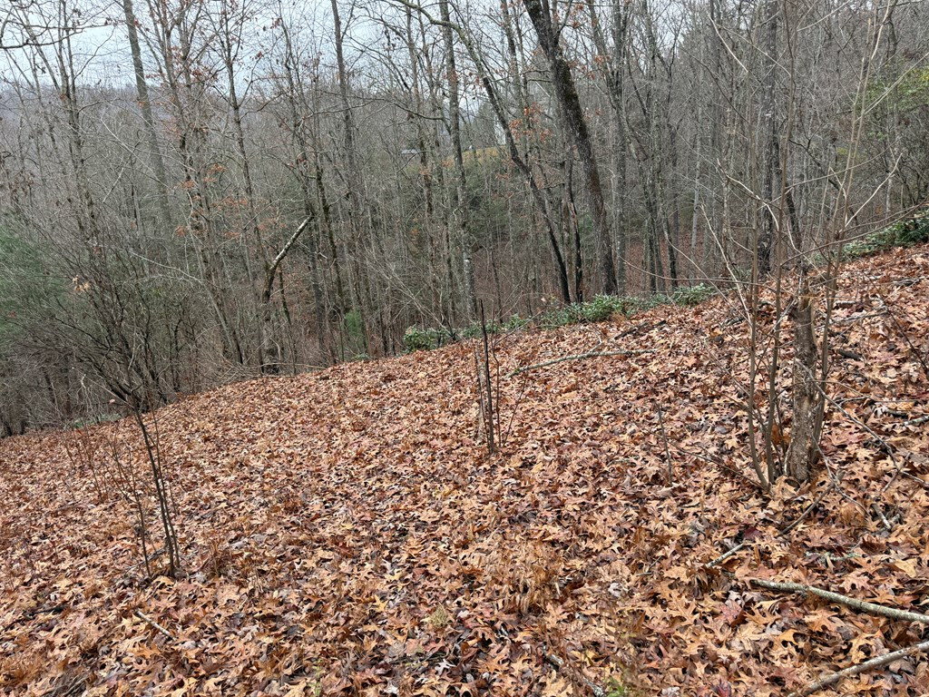 0 Flaming Ridge