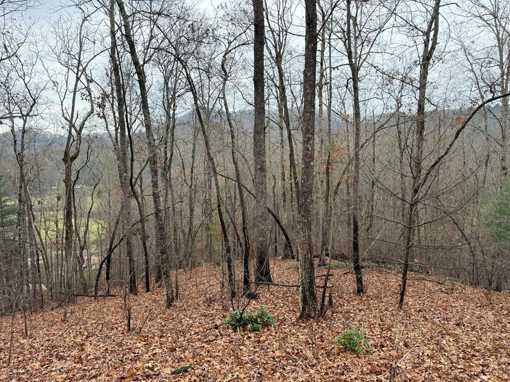 0 Flaming Ridge