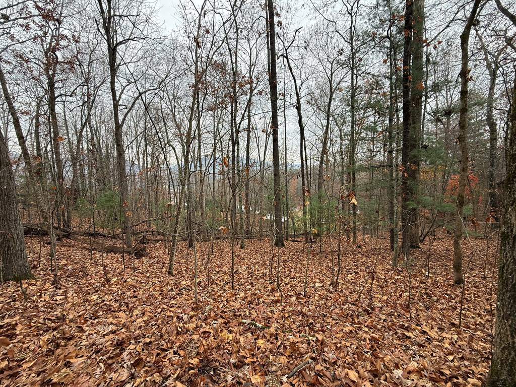 0 Rosenkrantz Lane