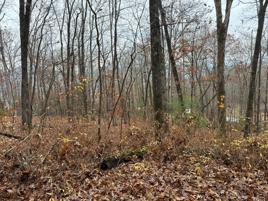 0 Rosenkrantz Lane