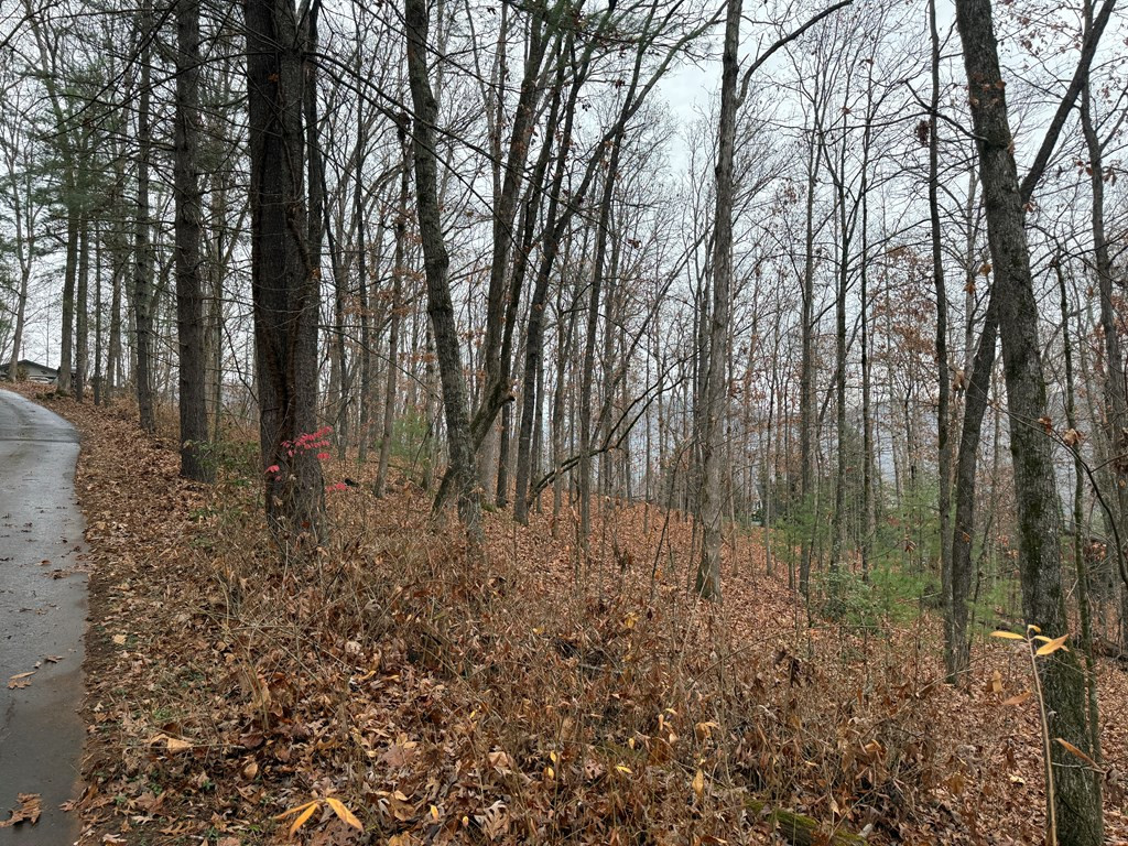 0 Rosenkrantz Lane