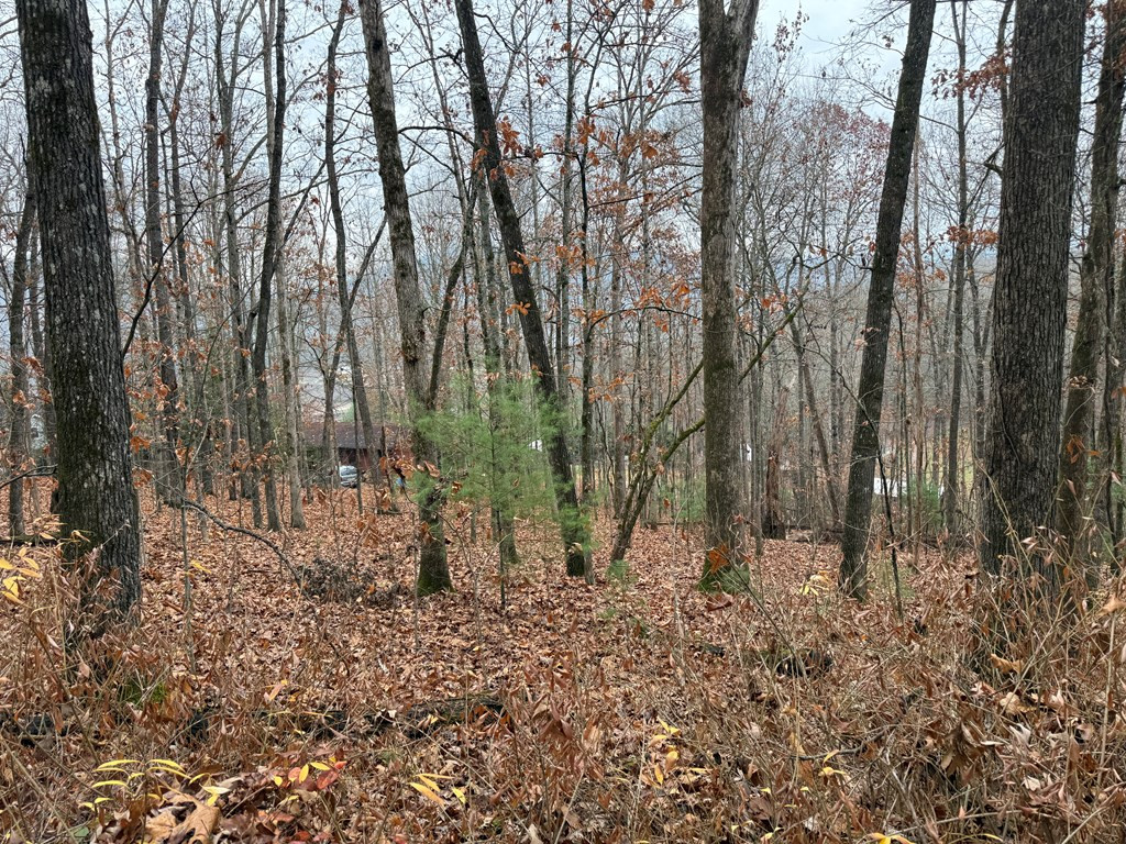 0 Rosenkrantz Lane