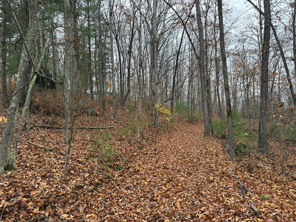 0 Rosenkrantz Lane