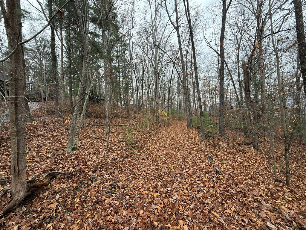 0 Rosenkrantz Lane