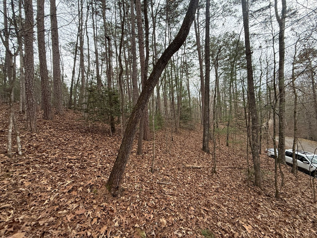 0 Kesrel Ridge Circle