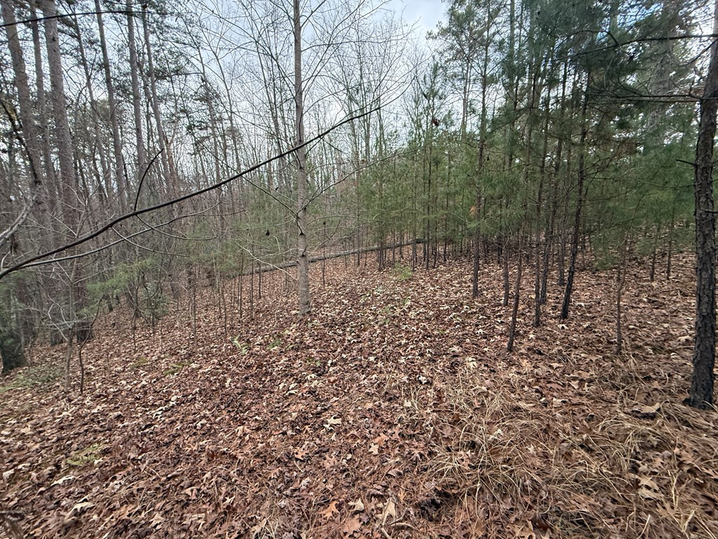 0 Kesrel Ridge Circle