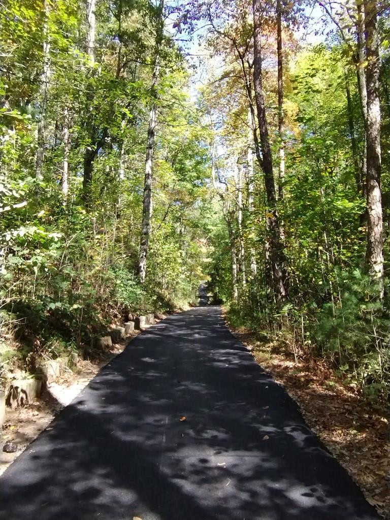 350 Fern Way