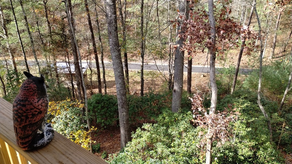 350 Fern Way