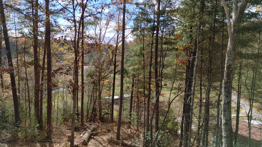 350 Fern Way