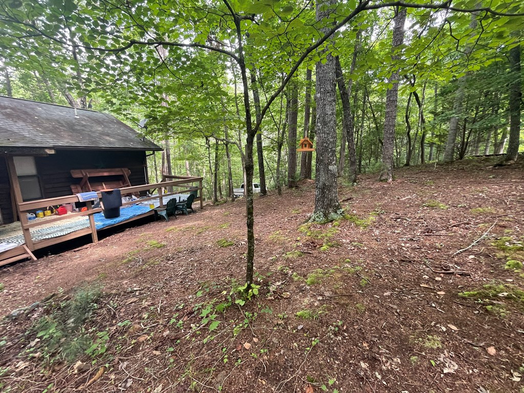676 Goldie Garrett Road