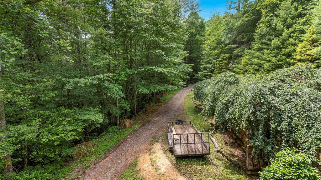 545 Bear Paw Church Road