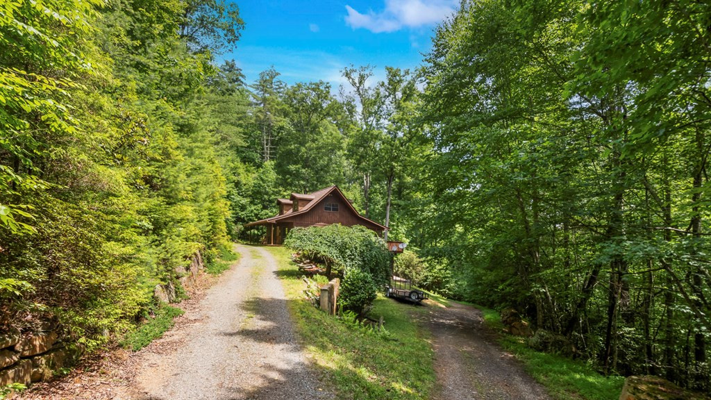 545 Bear Paw Church Road