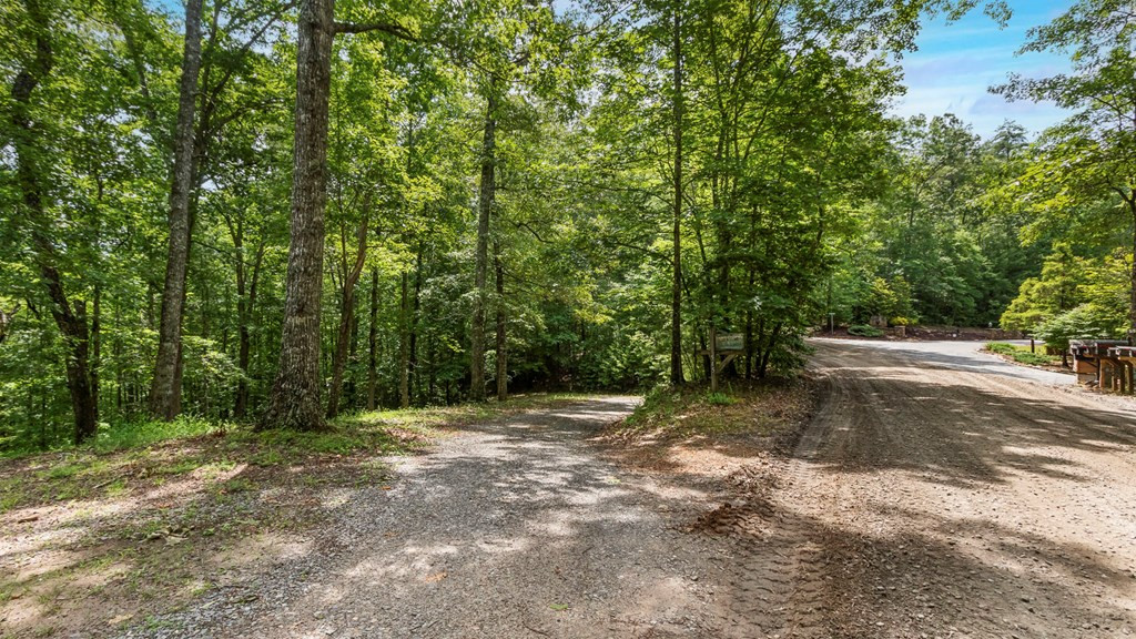 545 Bear Paw Church Road
